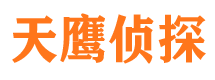 元宝侦探公司